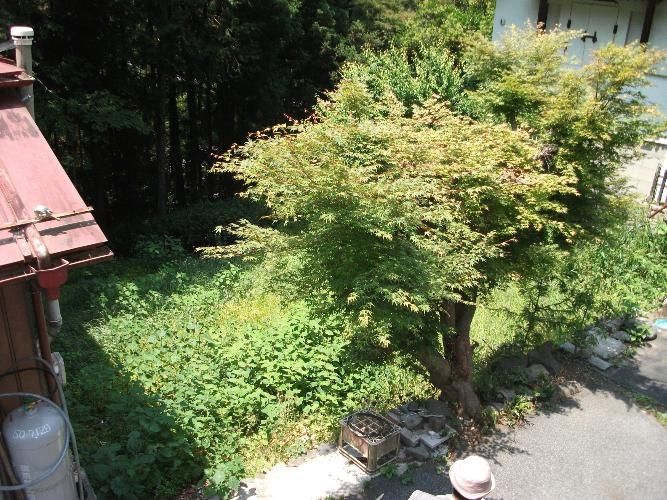 Vacant Land for Sale in Okutama, Tokyo - 184.43 sqm Plot - Thumbnail 2