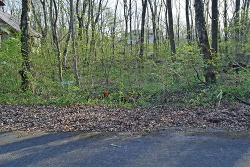 Vacant Land for Sale in Tsumagoi Village, Gunma - 370 sqm - Thumbnail 2