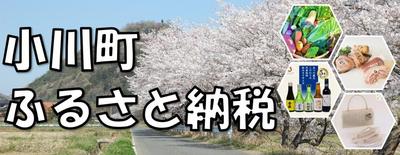 Land with Old House for Sale in Ogawa Town, Saitama — Image 50, Ogawa, Saitama