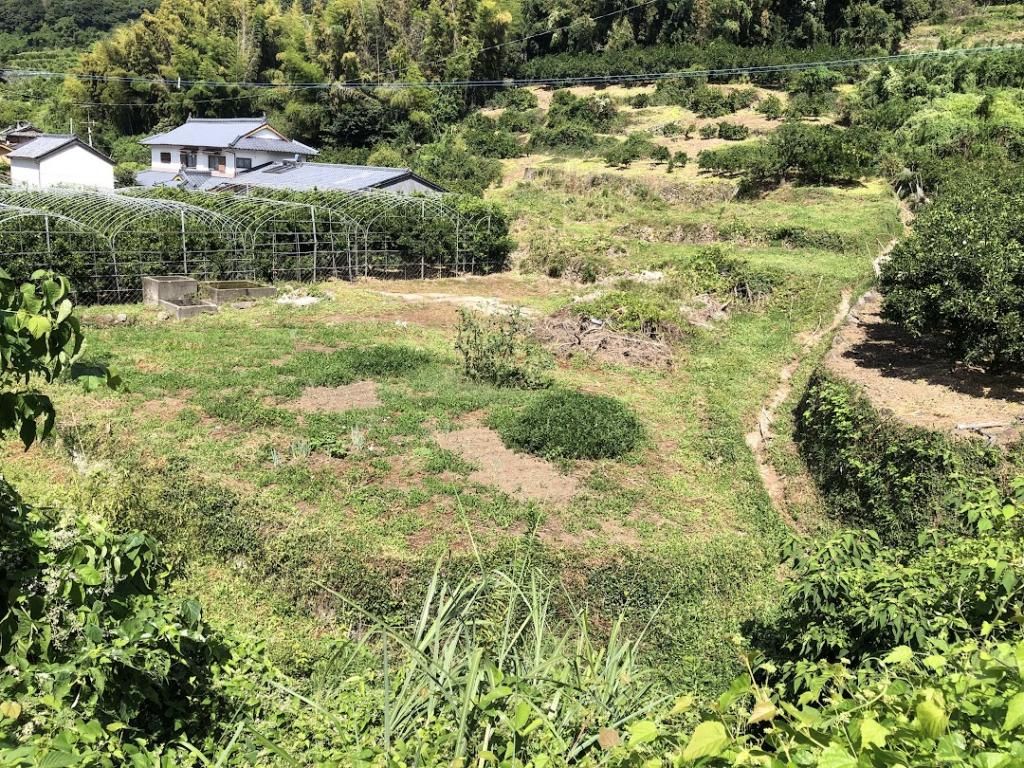 Land with Farmland Set in Uki City, Kumamoto - 472 sqm - Thumbnail 3