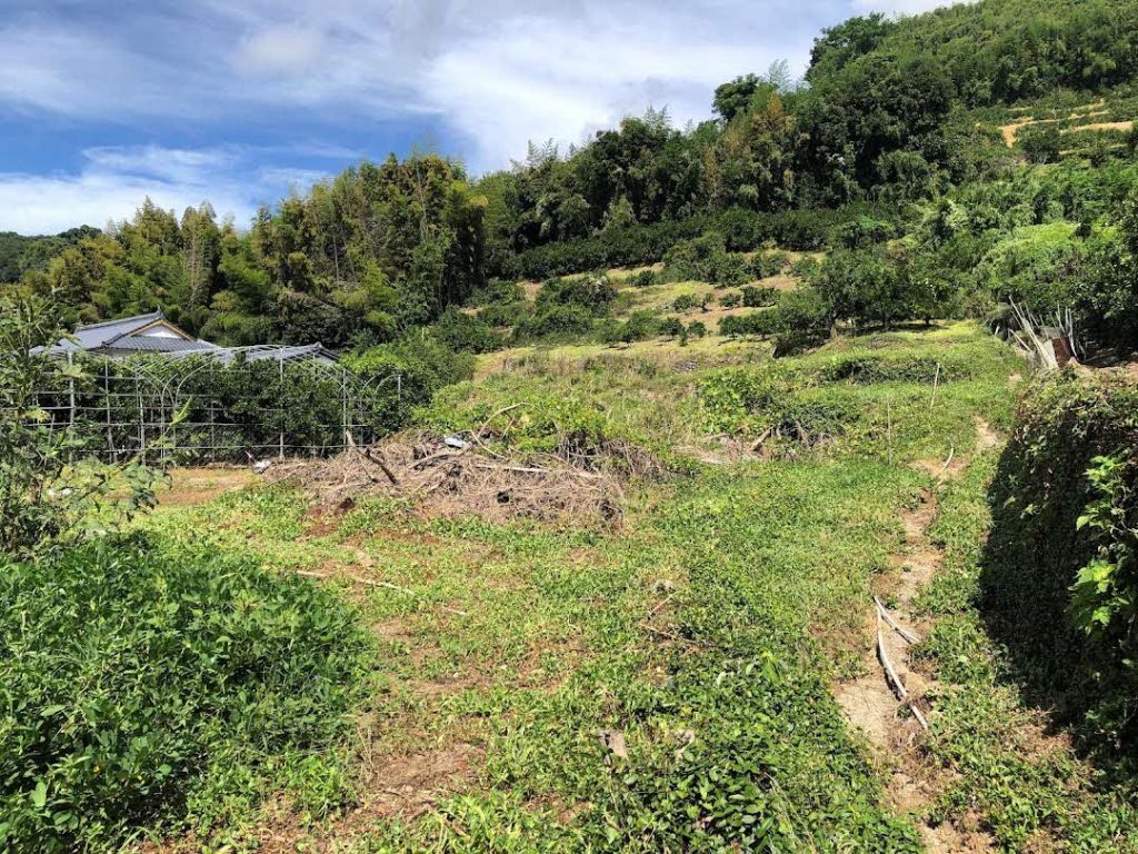 Land with Farmland Set in Uki City, Kumamoto - 472 sqm - Thumbnail 4