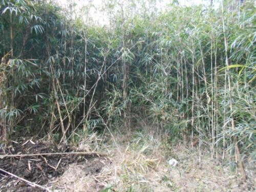Lease Land in Ebino City, Miyazaki - 876 sqm Plot with Potential - Thumbnail 2