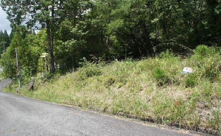 191sqm Corner Land Plot in Kamikawa-cho, Hyogo Prefecture - Thumbnail 4