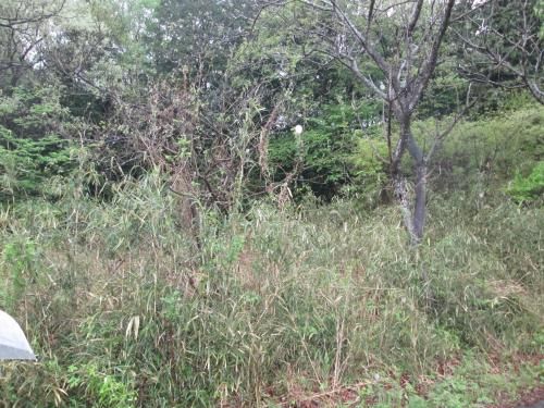 359 sqm Residential Land for Sale in Yaita City, Tochigi - Thumbnail 2