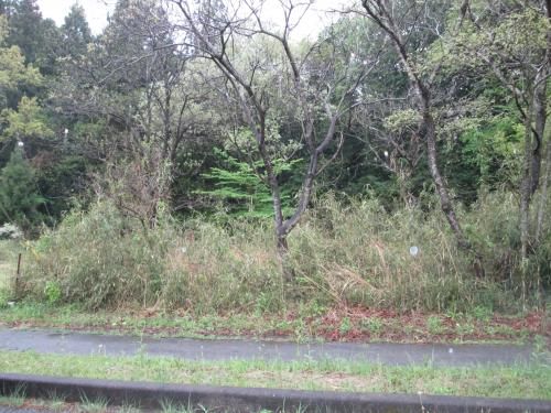 359 sqm Residential Land for Sale in Yaita City, Tochigi - Thumbnail 3