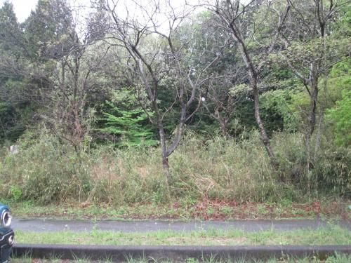 359 sqm Residential Land for Sale in Yaita City, Tochigi - Thumbnail 4