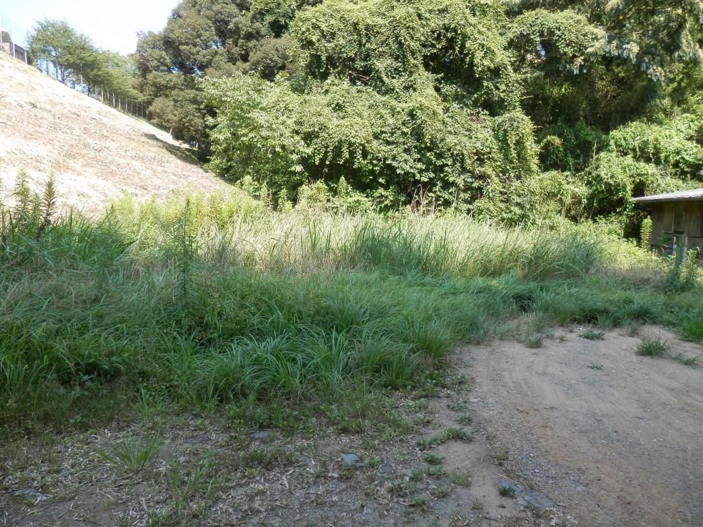 215 sqm Residential Land for Sale in Munakata, Fukuoka - Thumbnail 2