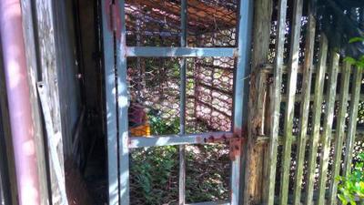 [Kagoshima Prefecture Kimotsuki Town] Property Number 131 - Property Details - Kimotsuki Town "Vacant House Bank" — Image 6, Kimotsuki, Kagoshima