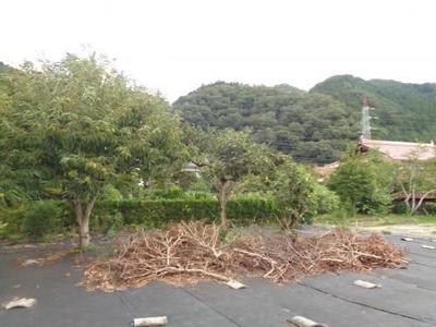 Wooden House for Sale in Akiota, Hiroshima — Image 1, Akiota, Hiroshima