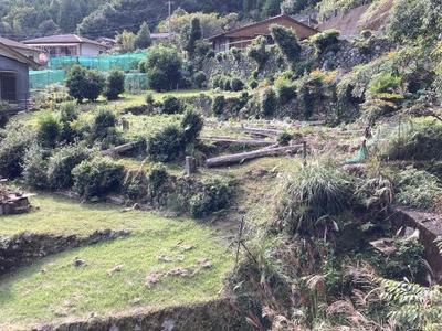 Shimokitayama Village Shimoikehara (SK9) - Property Details - Nara Prefecture Shimokitayama Village Vacant House Bank Site — Image 3, Shimokitayama, Nara