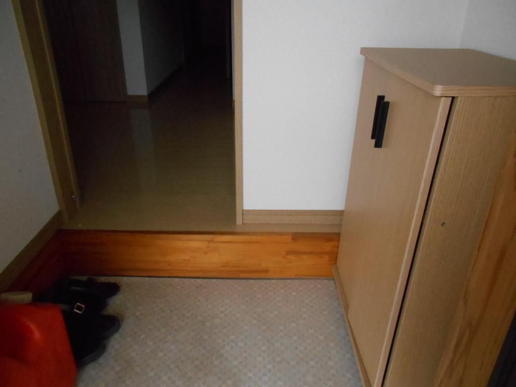 Renovated 1LDK House for Rent near Ebino Iino Station, Miyazaki - Image 22