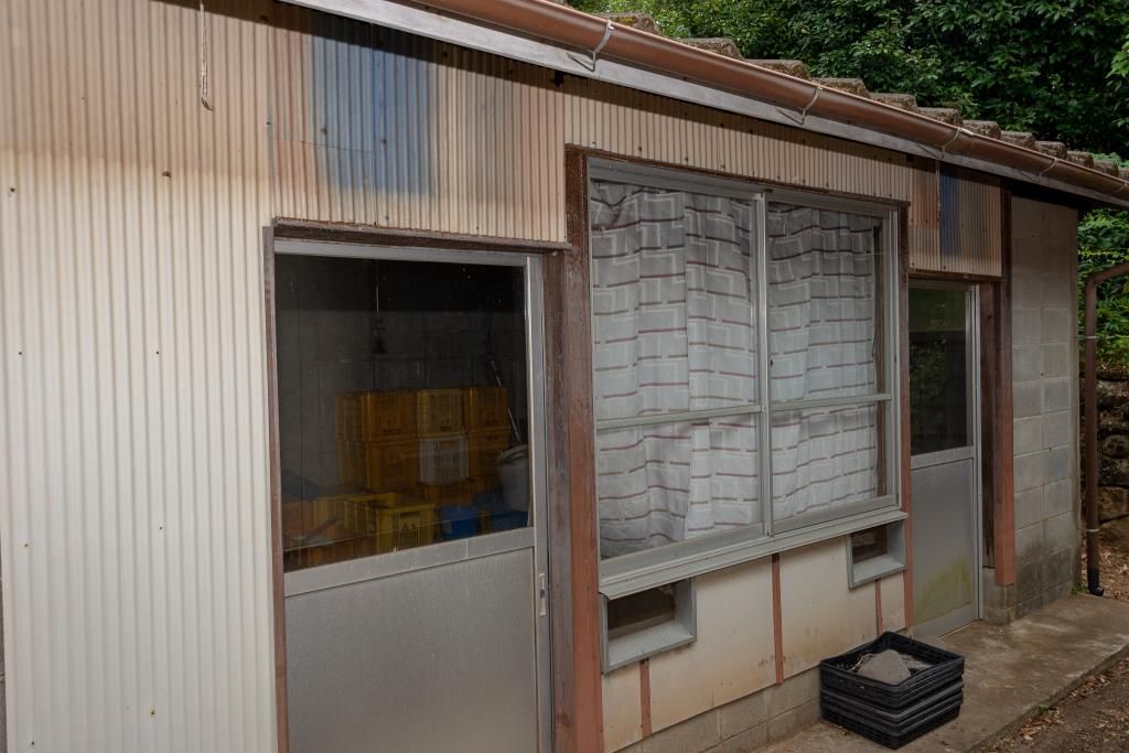 6DK House with Large Field and Forest Land for Sale in Izumi, Kagoshima - Thumbnail 4