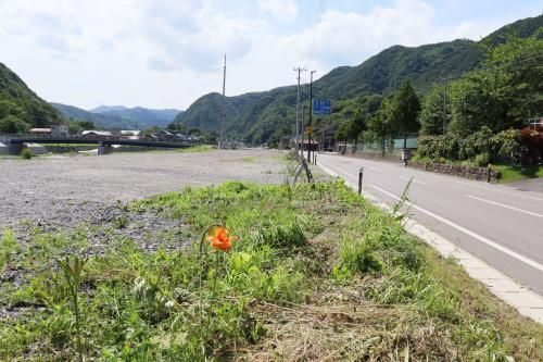 1,484 sqm Land for Sale in Iwaizumi, Iwate - Low Traffic, Great Sun - Thumbnail 4