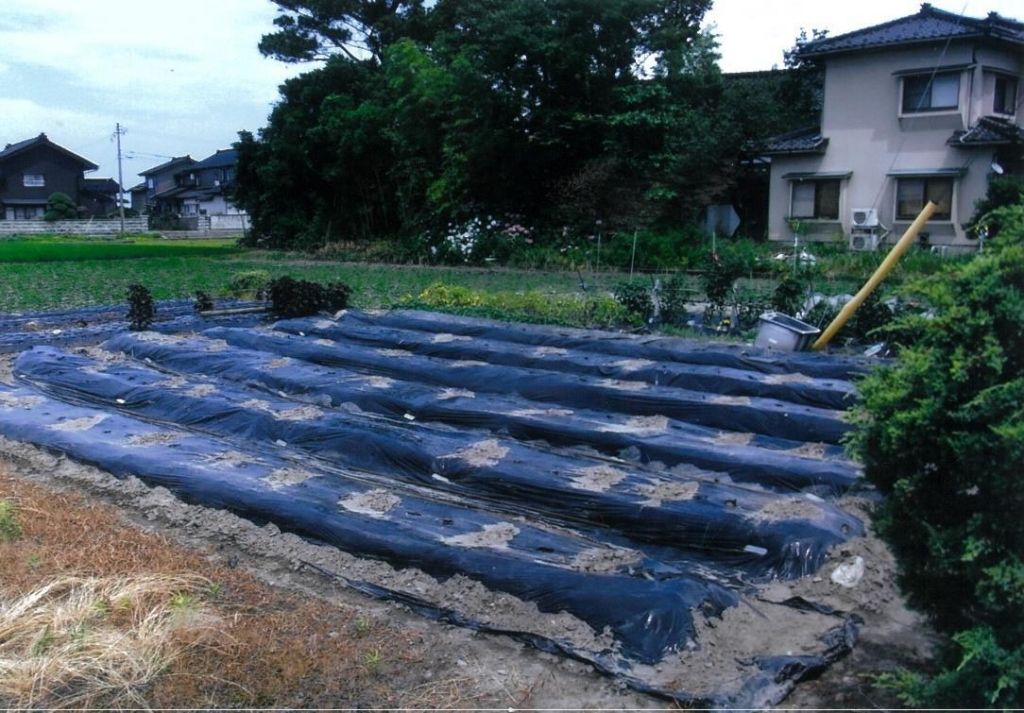 Vacant Land for Sale in Nyuzen, Toyama - 261sqm Corner Plot - Thumbnail 2