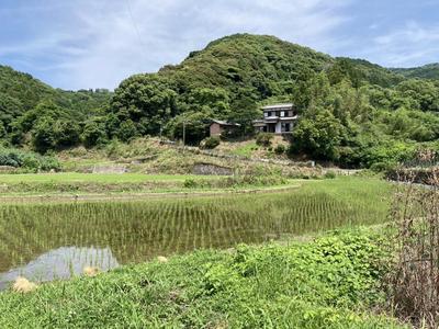 Small-045 - Property Details - Saga Prefecture Ogi City Vacant House Bank Site — Land, Ogi, Saga