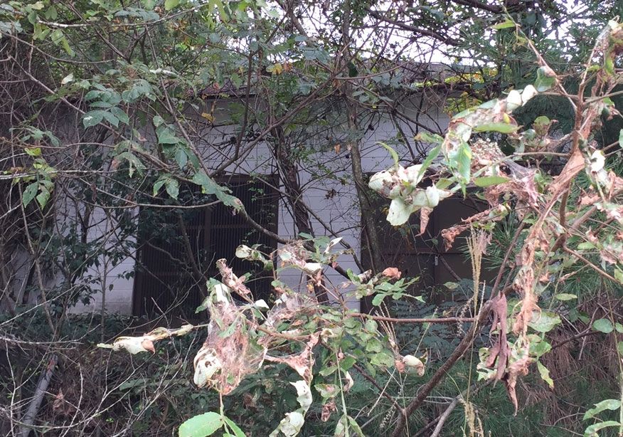 3.5 Million Yen Detached House on 574 sqm Land in Nantan, Kyoto - Thumbnail 3