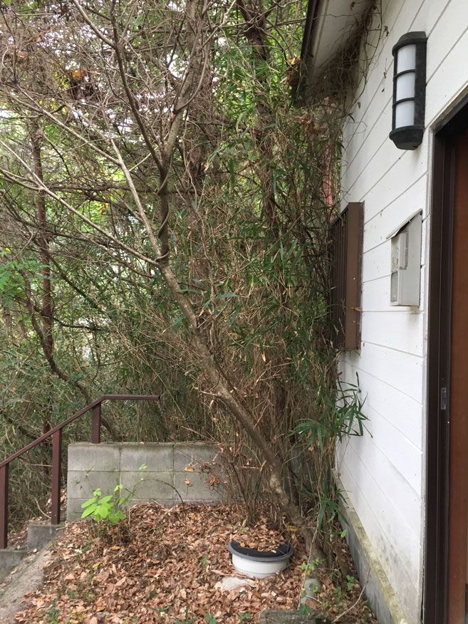 3.5 Million Yen Detached House on 574 sqm Land in Nantan, Kyoto - Thumbnail 2