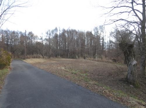Vacant Land for Sale Near Lake Onogawa, Kitashiobara, Fukushima - Thumbnail 4