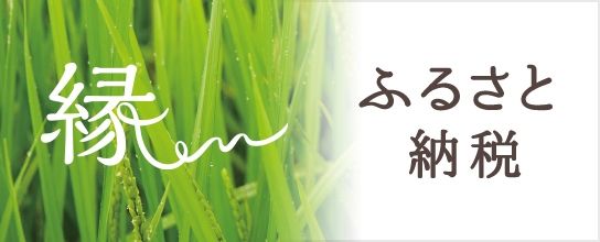 Land for Sale in Kashiwazaki, Niigata - Thumbnail 3