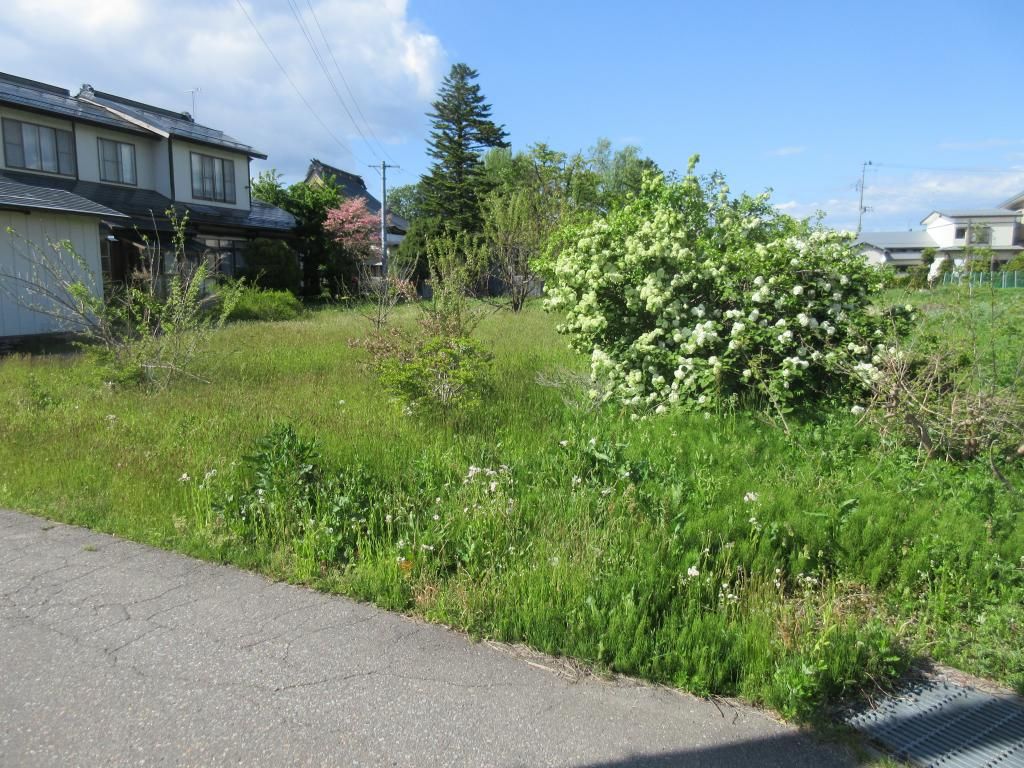 854 sqm Vacant Land for Sale in Misato, Akita | Prime Development Plot - Thumbnail 3