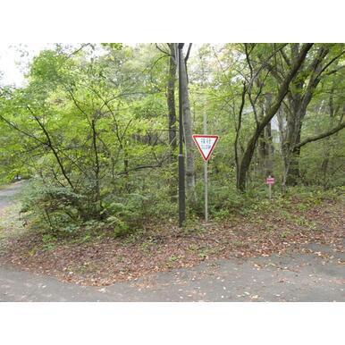 23-0039 - Property Details - Gunma Prefecture Tsumagoi Village Vacant House Bank Site — Land, Murakami, Gunma
