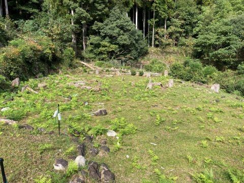 Akiya Bank Farmland with Shed in Nara's Shimokitayama Village - Thumbnail 4