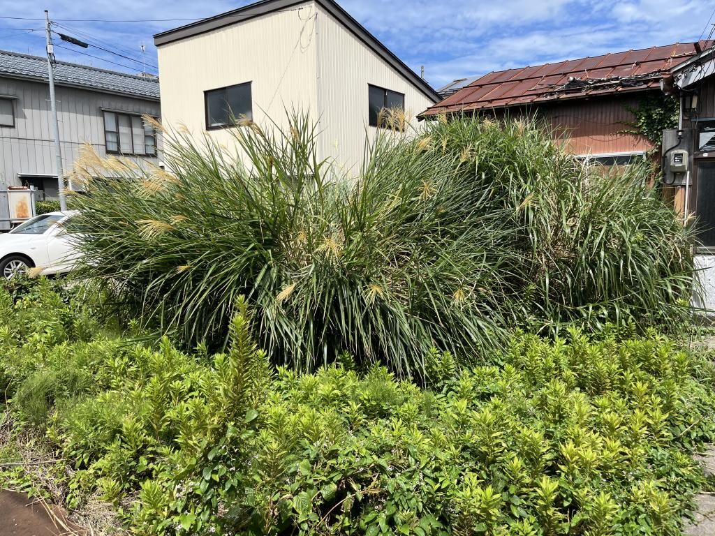 Small Vacant Land Plot for Sale Near JR Sanjo Station, Niigata - Thumbnail 3