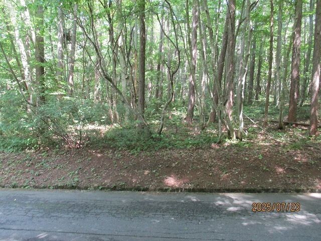 Vacant Land for Sale in Iizuna, Nagano with Mountain Views - Thumbnail 2
