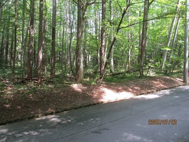 Vacant Land for Sale in Iizuna, Nagano with Mountain Views - Thumbnail 3
