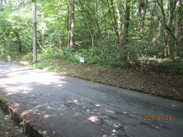 Vacant Land for Sale in Iizuna, Nagano with Mountain Views - Thumbnail 4