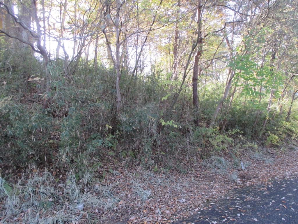375 sqm Residential Land for Sale in Corina Yaita, Tochigi - Thumbnail 4