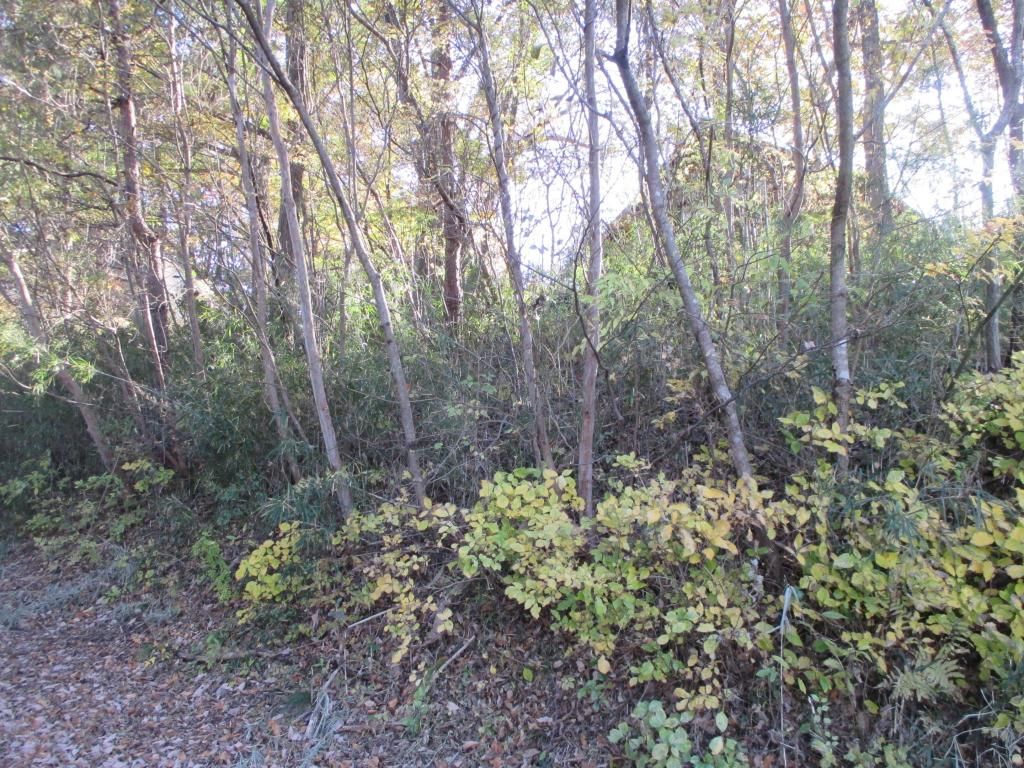 375 sqm Residential Land for Sale in Corina Yaita, Tochigi - Thumbnail 2