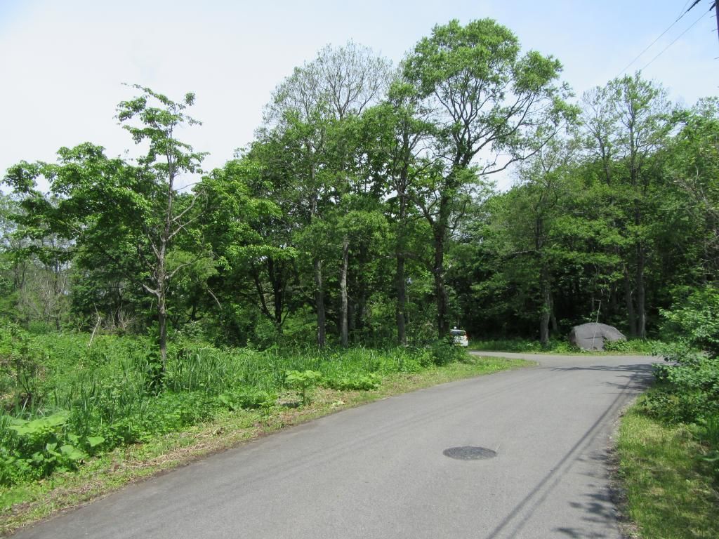 Vacant Land in Kitashiobara Village, Fukushima - Bandai-Asahi National Park - Thumbnail 3