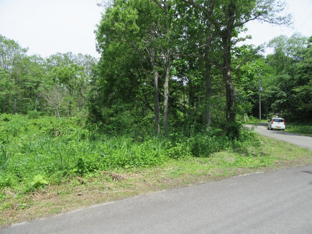 Vacant Land in Kitashiobara Village, Fukushima - Bandai-Asahi National Park - Thumbnail 4
