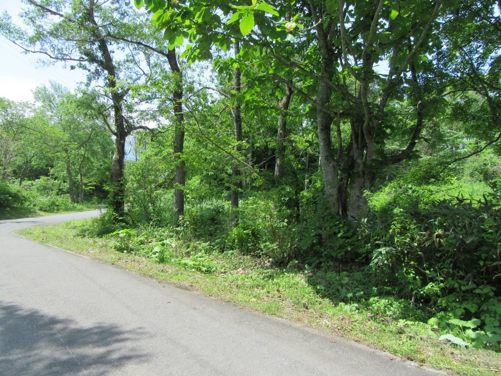 Vacant Land in Kitashiobara Village, Fukushima - Bandai-Asahi National Park - Thumbnail 2