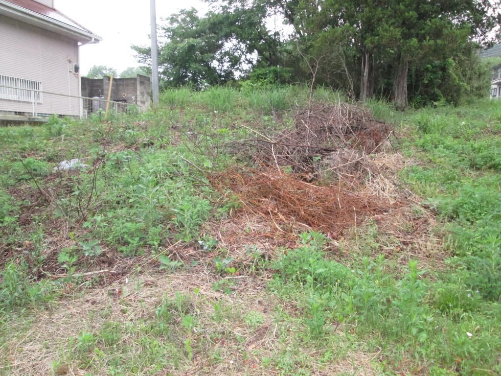 145 sqm Residential Land for Sale in Yaita, Tochigi - 300,000 Yen - Thumbnail 4