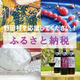 Lease Vacant Land Plot in Noda Village, Iwate - 341 sqm - Image 57