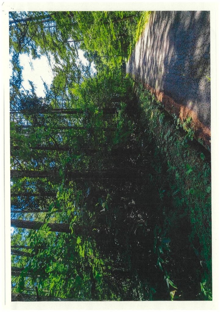Vacant Highland Land for Sale in Iizuna, Nagano with Mountain Views - Thumbnail 2