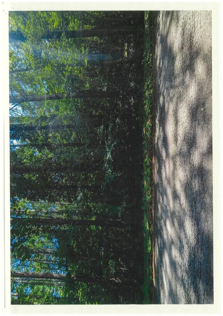 Vacant Highland Land for Sale in Iizuna, Nagano with Mountain Views - Image 1