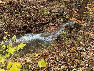 2SDK Detached House for Sale in Tsumagoi, Gunma — Image 11, Tsumagoi, Gunma