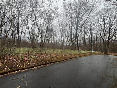 23-0041 - Property Details - Gunma Prefecture Tsumagoi Village Vacant House Bank Site — Image 4, Agatsuma District, Gunma