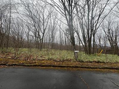 23-0041 - Property Details - Gunma Prefecture Tsumagoi Village Vacant House Bank Site — Image 3, Agatsuma District, Gunma