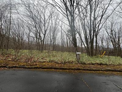 23-0041 - Property Details - Gunma Prefecture Tsumagoi Village Vacant House Bank Site — Image 1, Agatsuma District, Gunma