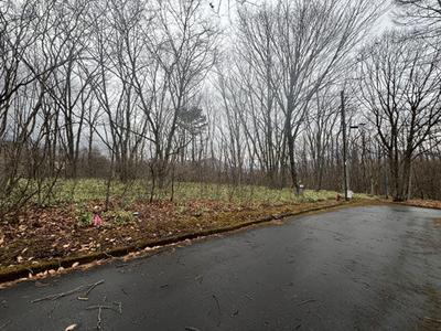 23-0041 - Property Details - Gunma Prefecture Tsumagoi Village Vacant House Bank Site — Image 1, Agatsuma District, Gunma