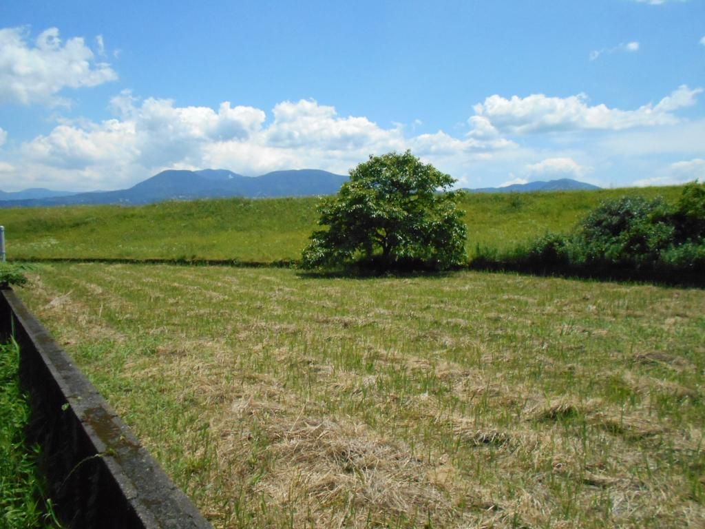 217.16 sqm Vacant Residential Land for Sale in Ebino, Miyazaki - Thumbnail 3