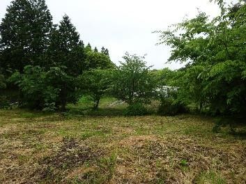 Vacant Land for Sale in Kokonoe Town, Oita - 1078 sqm Plot - Thumbnail 2