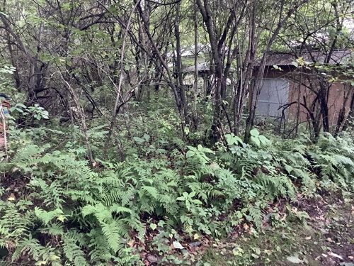 Vacant Land in Tsumagoi Village - 334 sqm Plot - Thumbnail 4