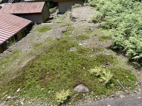 Hilltop Land Plot in Shimokitayama, Nara - Akiya Bank Listing - Thumbnail 2
