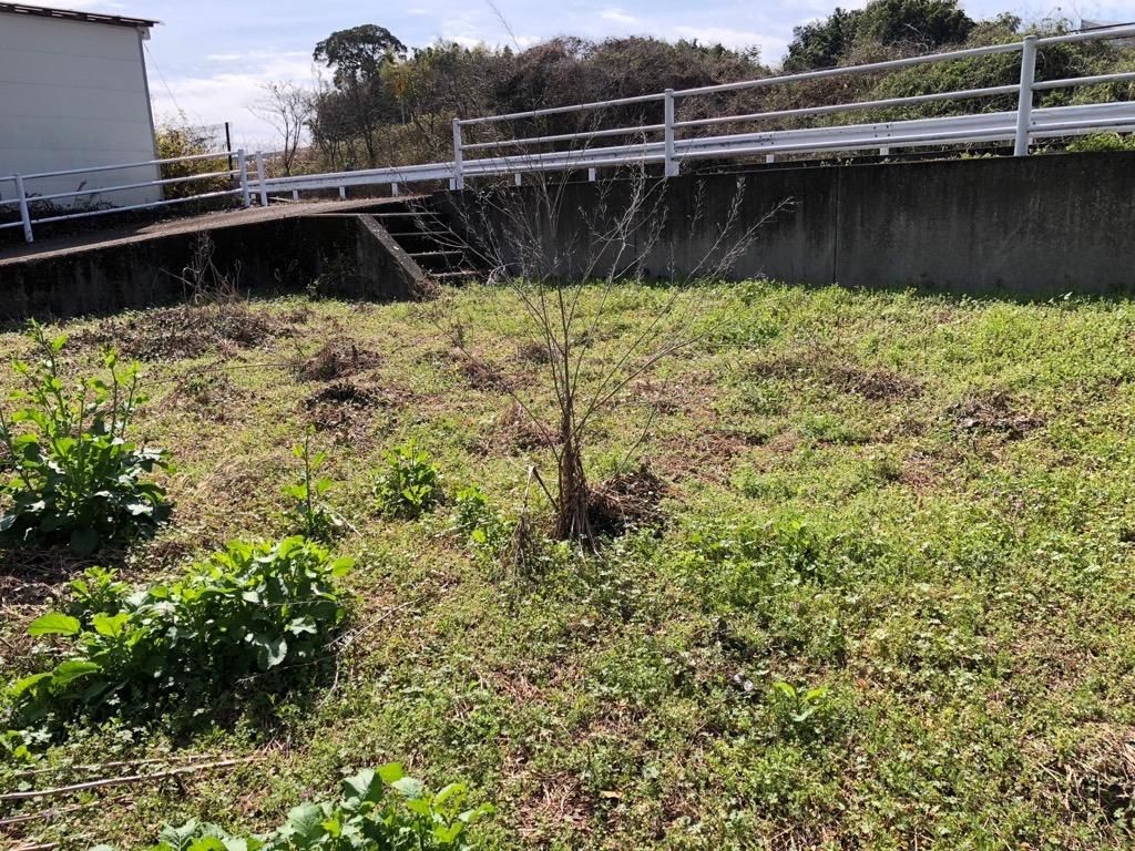 204 sqm Vacant Land for Sale in Uki City, Kumamoto - Thumbnail 4