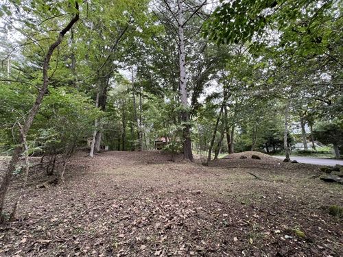Vacant Land for Villa in Tsumagoi Village, Gunma - 1642 sqm - Thumbnail 3